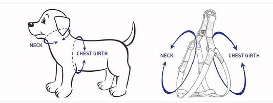 STEP IN HARNESS - BLUE