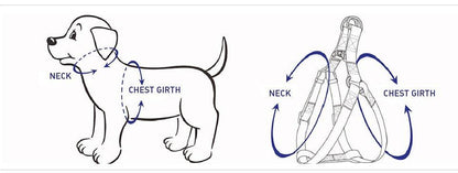 STEP IN HARNESS - BLUE